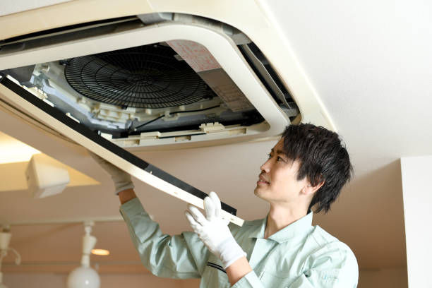 Best Air Vent Cleaning Services  in Canutillo, TX