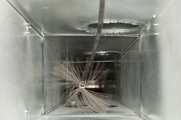 Air Duct Mold Removal in TX